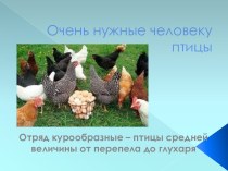 ПРезентация Такие нужные человеку птицы