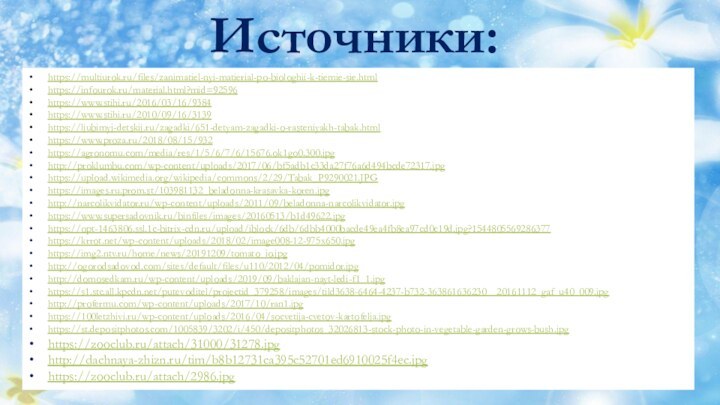 Источники:https://multiurok.ru/files/zanimatiel-nyi-matierial-po-biologhii-k-tiemie-sie.htmlhttps://infourok.ru/material.html?mid=92596https://www.stihi.ru/2016/03/16/9384https://www.stihi.ru/2010/09/16/3139https://ljubimyj-detskij.ru/zagadki/651-detyam-zagadki-o-rasteniyakh-tabak.htmlhttps://www.proza.ru/2018/08/15/932https://agronomu.com/media/res/1/5/6/7/6/15676.ok1go0.300.jpghttp://proklumbu.com/wp-content/uploads/2017/06/bf5adb1c33da27f76a6d494bcde72317.jpghttps://upload.wikimedia.org/wikipedia/commons/2/29/Tabak_P9290021.JPGhttps://images.ru.prom.st/103981132_beladonna-krasavka-koren.jpghttp://narcolikvidator.ru/wp-content/uploads/2011/09/beladonna-narcolikvidator.jpghttps://www.supersadovnik.ru/binfiles/images/20160513/b1d49622.jpghttps://opt-1463806.ssl.1c-bitrix-cdn.ru/upload/iblock/6db/6dbb4000bacde49ea4fb8ea97cd0c19d.jpg?1544805569286377https://krrot.net/wp-content/uploads/2018/02/image008-12-975x650.jpghttps://img2.ntv.ru/home/news/20191209/tomato_io.jpghttp://ogorodsadovod.com/sites/default/files/u110/2012/04/pomidor.jpghttp://domosedkam.ru/wp-content/uploads/2019/09/baklajan-nayt-ledi-f1_1.jpghttps://s1.stc.all.kpcdn.net/putevoditel/projectid_379258/images/tild3638-6464-4237-b732-363861636230__20161112_gaf_u40_009.jpghttp://profermu.com/wp-content/uploads/2017/10/ran1.jpghttps://100letzhivi.ru/wp-content/uploads/2016/04/socvetija-cvetov-kartofelja.jpghttps://st.depositphotos.com/1005839/3202/i/450/depositphotos_32026813-stock-photo-in-vegetable-garden-grows-bush.jpghttps://zooclub.ru/attach/31000/31278.jpghttp://dachnaya-zhizn.ru/tim/b8b12731ca395c52701ed6910025f4ec.jpghttps://zooclub.ru/attach/2986.jpg