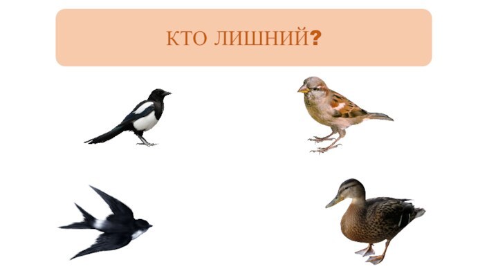 КТО ЛИШНИЙ?