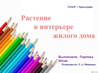 Растение в интерьере  жилого дома