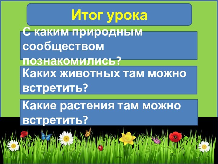 Итог урокаС каким природным сообществом познакомились?Каких животных там можно встретить?Какие растения там можно встретить?