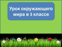 Презентация к уроку окружающего мира Луг и его обитатели, 3 класс