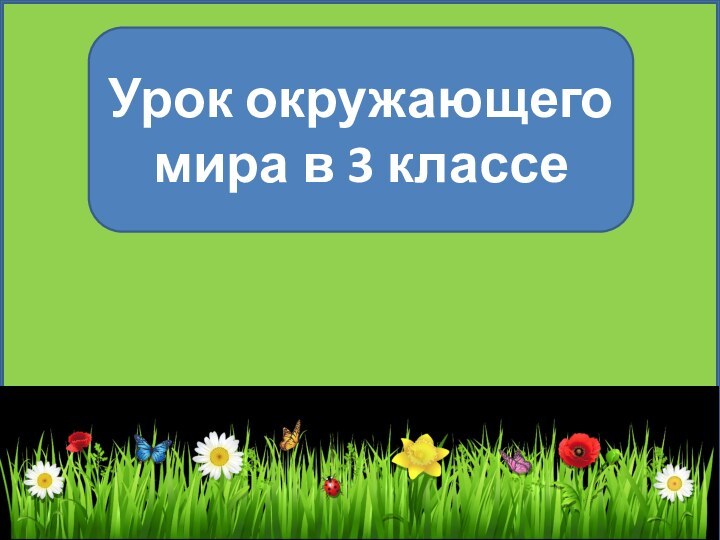 Урок окружающего мира в 3 классе