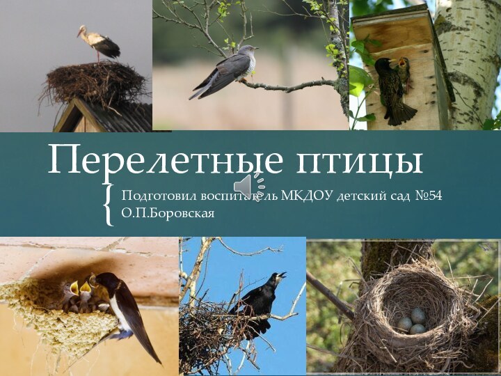 Перелетные птицыПодготовил воспитатель МКДОУ детский сад №54  О.П.Боровская