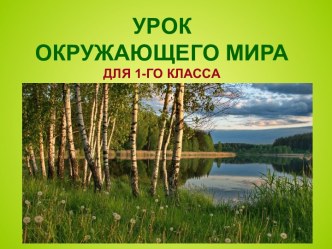 Презентация к уроку окружающего мира Что мы знаем о народах России? Что мы знаем о Москве?, 1 класс