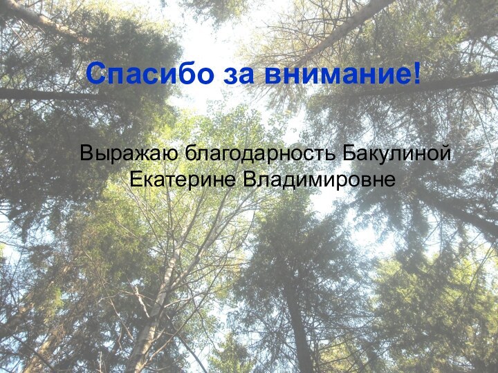 Спасибо за внимание!	Выражаю благодарность Бакулиной Екатерине Владимировне