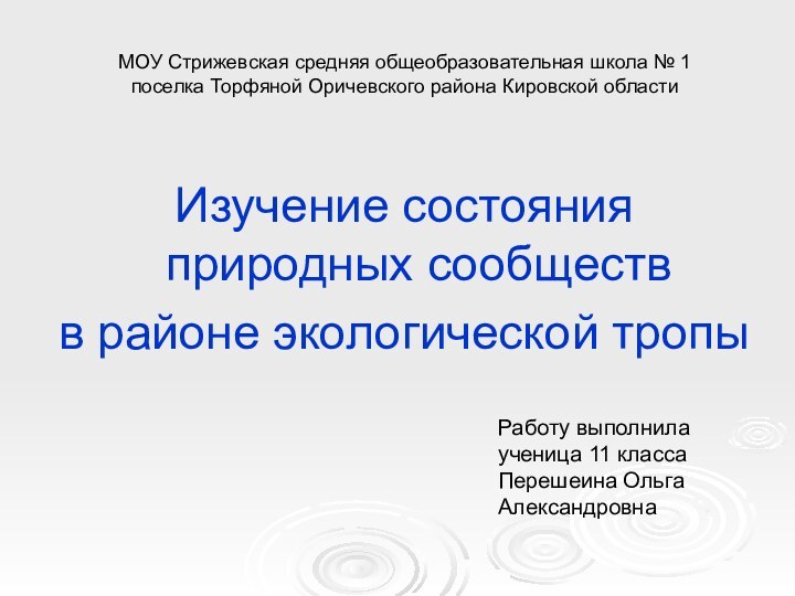 МОУ Стрижевская средняя общеобразовательная школа № 1  поселка Торфяной Оричевского района