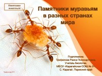 Презентация Памятник муравьям в разных странах мира