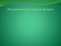 Презентация В разноцветном царстве флоры