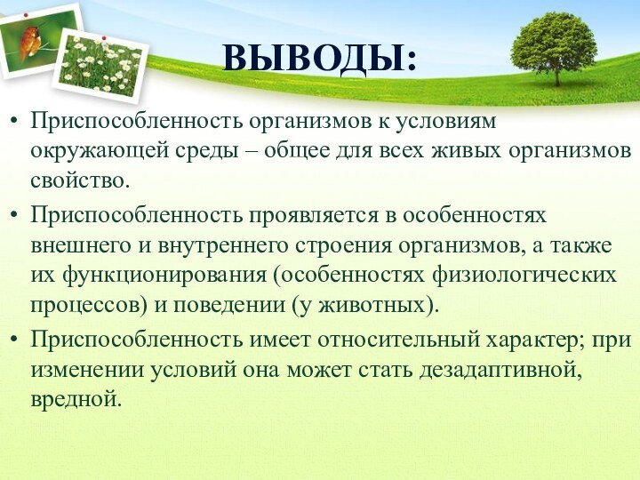 ВЫВОДЫ:Приспособленность организмов к условиям окружающей среды – общее для всех живых организмов