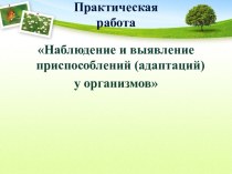 Практическая работа  Наблюдение и выявление приспособлений (адаптаций) у организмов