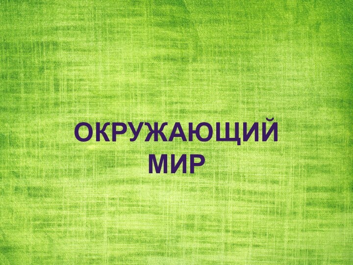 Окружающий мир