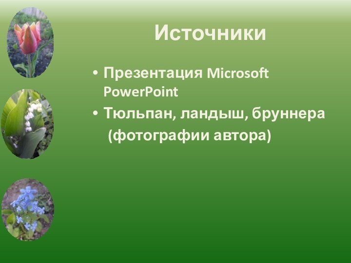 ИсточникиПрезентация Microsoft PowerPointТюльпан, ландыш, бруннера   (фотографии автора)