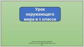 Презентация к уроку окружающего мира в 1 классе. Как живут животные?