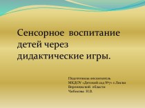 Презентация Сенсорное воспитание детей через дидактические игры