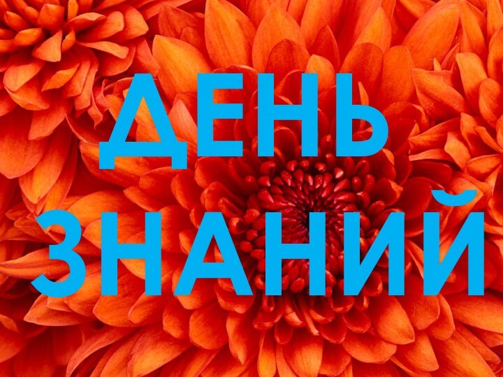 ДЕНЬ ЗНАНИЙ