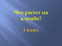 Презентация Что растёт на клумбе?