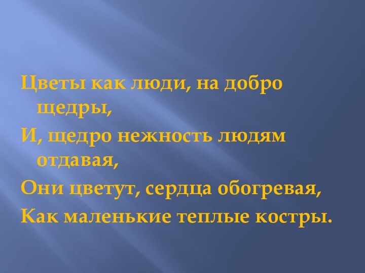 Цветы как люди, на добро щедры,И, щедро нежность людям отдавая,Они цветут, сердца обогревая,Как маленькие теплые костры.