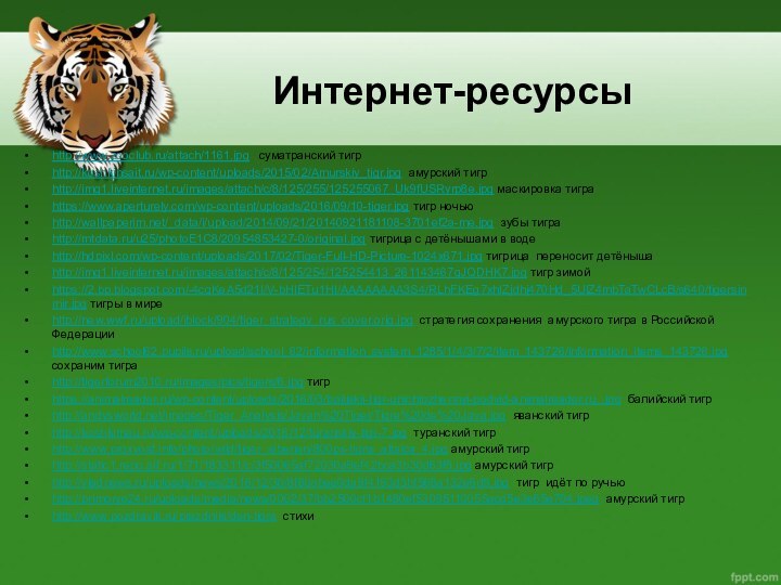 Интернет-ресурсыhttp://www.zooclub.ru/attach/1161.jpg  суматранский тигрhttp://koshkinsait.ru/wp-content/uploads/2015/02/Amurskiy_tigr.jpg амурский тигрhttp://img1.liveinternet.ru/images/attach/c/8/125/255/125255067_Uk9fUSRyrp8e.jpg маскировка тиграhttps://www.aperturely.com/wp-content/uploads/2016/09/10-tiger.jpg тигр ночью http://wallpaperim.net/_data/i/upload/2014/09/21/20140921181108-3701ef2a-me.jpg зубы