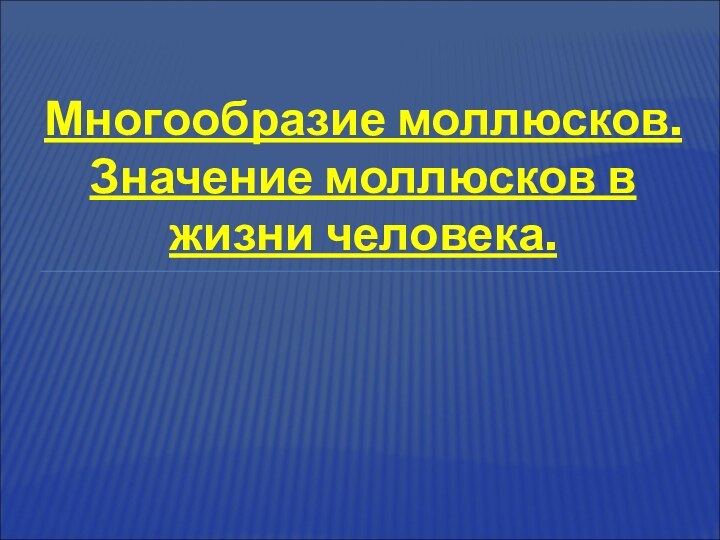 Многообразие моллюсков. Значение моллюсков в жизни человека.