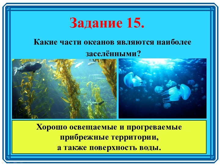 Задание 15. Какие части океанов являются наиболее заселёнными?Хорошо освещаемые и прогреваемые прибрежные