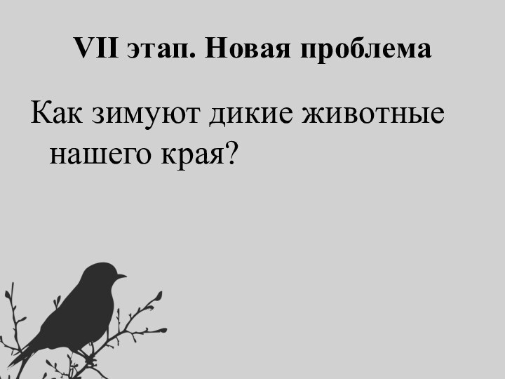 Как зимуют дикие животные нашего края?VII этап. Новая проблема