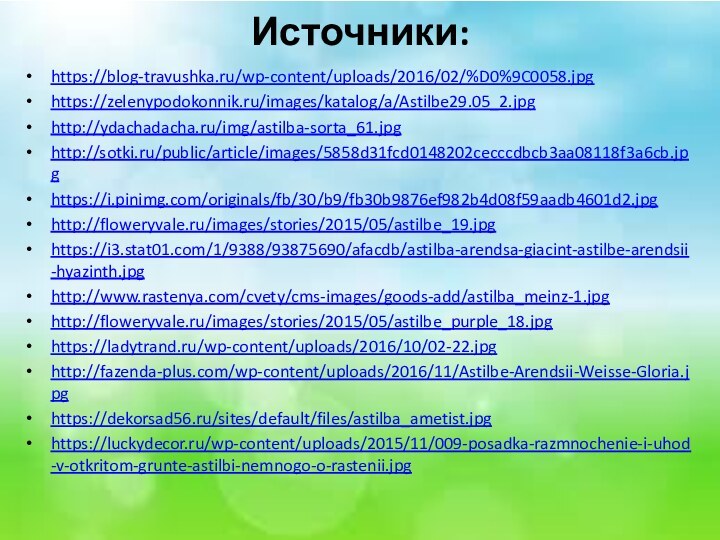 Источники:https://blog-travushka.ru/wp-content/uploads/2016/02/%D0%9C0058.jpghttps://zelenypodokonnik.ru/images/katalog/a/Astilbe29.05_2.jpghttp://ydachadacha.ru/img/astilba-sorta_61.jpghttp://sotki.ru/public/article/images/5858d31fcd0148202cecccdbcb3aa08118f3a6cb.jpghttps://i.pinimg.com/originals/fb/30/b9/fb30b9876ef982b4d08f59aadb4601d2.jpghttp://floweryvale.ru/images/stories/2015/05/astilbe_19.jpghttps://i3.stat01.com/1/9388/93875690/afacdb/astilba-arendsa-giacint-astilbe-arendsii-hyazinth.jpghttp://www.rastenya.com/cvety/cms-images/goods-add/astilba_meinz-1.jpghttp://floweryvale.ru/images/stories/2015/05/astilbe_purple_18.jpghttps://ladytrand.ru/wp-content/uploads/2016/10/02-22.jpghttp://fazenda-plus.com/wp-content/uploads/2016/11/Astilbe-Arendsii-Weisse-Gloria.jpghttps://dekorsad56.ru/sites/default/files/astilba_ametist.jpghttps://luckydecor.ru/wp-content/uploads/2015/11/009-posadka-razmnochenie-i-uhod-v-otkritom-grunte-astilbi-nemnogo-o-rastenii.jpg