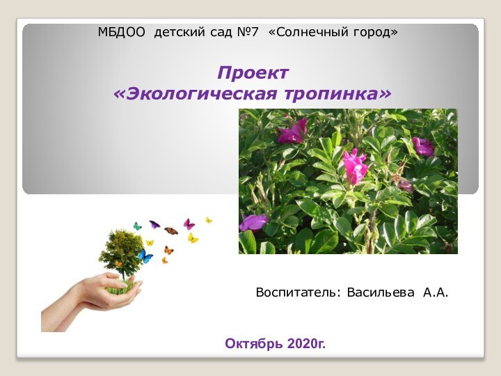 Проект «Экологическая тропинка»Октябрь 2020г.МБДОО детский сад №7 «Солнечный город» Воспитатель: Васильева А.А.