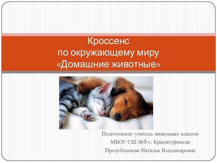 Подготовила: учитель начальных классов МБОУ СШ №9 г. КрасноуфимскаПролубщикова Наталья ВладимировнаКроссенс