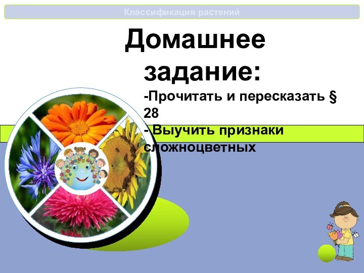 Домашнее задание: -Прочитать и пересказать § 28 - Выучить признаки сложноцветных