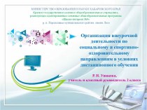 Презентация Организация внеурочной деятельности по социальному и спортивно-оздоровительному направлениям в условиях дистанционного обучения