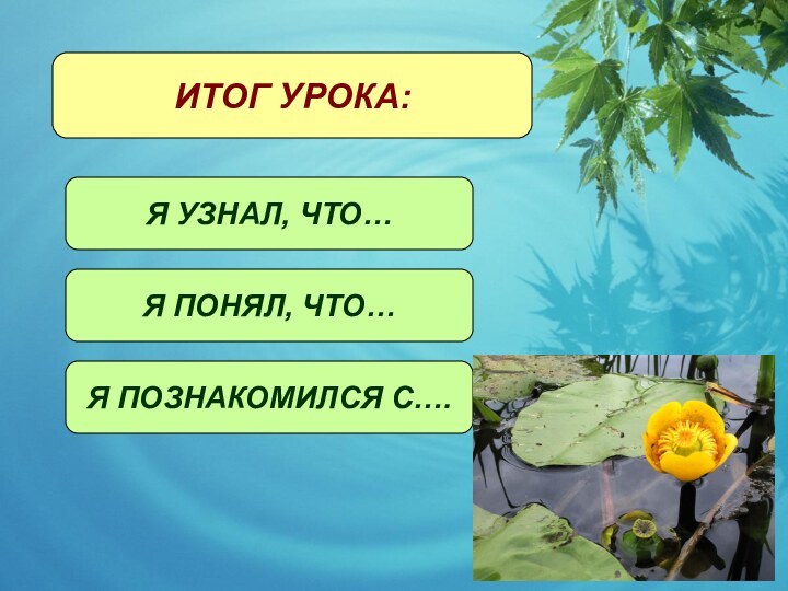 ИТОГ УРОКА:ИТОГ УРОКА:Я УЗНАЛ, ЧТО…Я ПОНЯЛ, ЧТО…Я ПОЗНАКОМИЛСЯ С….