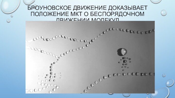 БРОУНОВСКОЕ ДВИЖЕНИЕ ДОКАЗЫВАЕТ ПОЛОЖЕНИЕ МКТ О БЕСПОРЯДОЧНОМ ДВИЖЕНИИ МОЛЕКУЛ