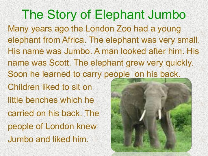 The Story of Elephant JumboMany years ago the London Zoo had a