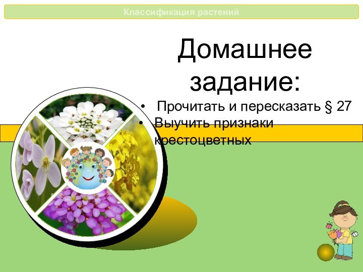 Домашнее задание:Прочитать и пересказать § 27Выучить признаки крестоцветных