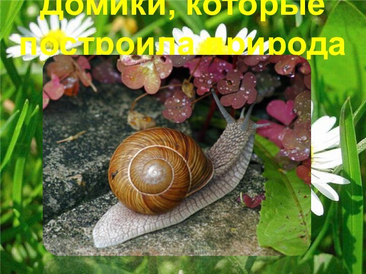 Домики, которые построила природа