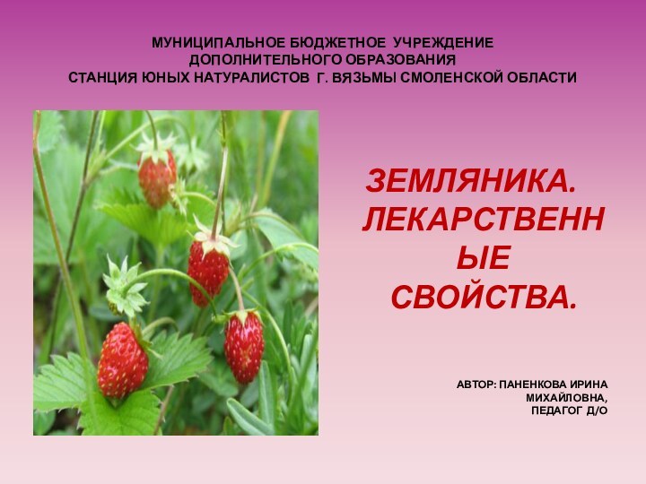 МУНИЦИПАЛЬНОЕ БЮДЖЕТНОЕ УЧРЕЖДЕНИЕ  ДОПОЛНИТЕЛЬНОГО ОБРАЗОВАНИЯ  СТАНЦИЯ ЮНЫХ НАТУРАЛИСТОВ Г. ВЯЗЬМЫ