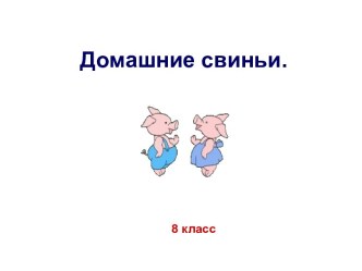 Презентация к уроку биологии Домашние свиньи, 8 класс