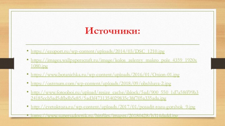 Источники:https://ezoport.ru/wp-content/uploads/2014/03/DSC_1210.jpghttps://images.wallpaperscraft.ru/image/kolos_zelenyy_makro_pole_4359_1920x1080.jpghttps://www.botanichka.ru/wp-content/uploads/2016/01/Onion-01.jpghttps://ostrnum.com/wp-content/uploads/2018/09/obshhaya-2.jpghttp://www.fotooboi.ru/upload/resize_cache/iblock/5ad/900_550_1d7a58ff99b324185ccb5ad5dfbdb5e85/5ad3f4731354029835c38f705a335ada.jpghttp://cvetokroza.ru/wp-content/uploads/2017/01/posadit-rozu-gorshok_9.jpghttps://www.supersadovnik.ru/binfiles/images/20180428/b314dadd.jpg