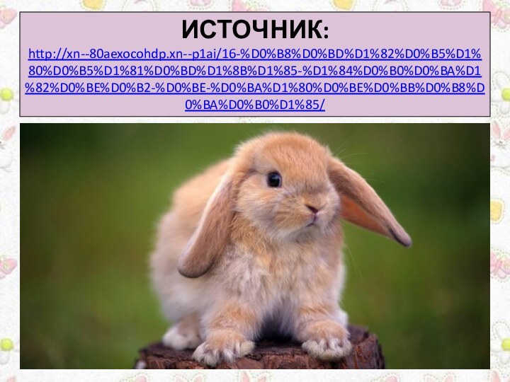 ИСТОЧНИК:http://xn--80aexocohdp.xn--p1ai/16-%D0%B8%D0%BD%D1%82%D0%B5%D1%80%D0%B5%D1%81%D0%BD%D1%8B%D1%85-%D1%84%D0%B0%D0%BA%D1%82%D0%BE%D0%B2-%D0%BE-%D0%BA%D1%80%D0%BE%D0%BB%D0%B8%D0%BA%D0%B0%D1%85/