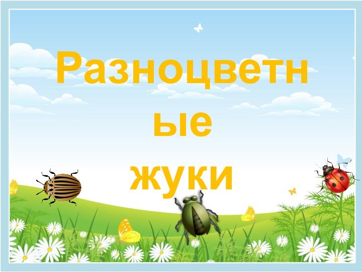 Разноцветные жуки