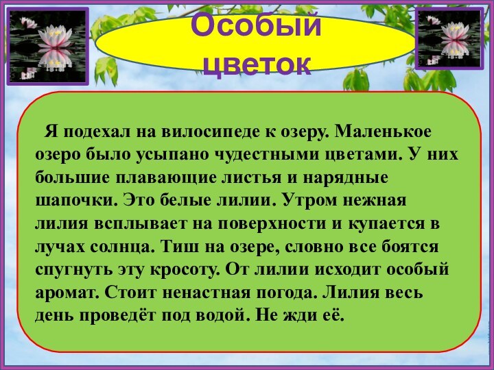 Особый цветок Я подехал на вилосипеде к озеру. Маленькое озеро было усыпано