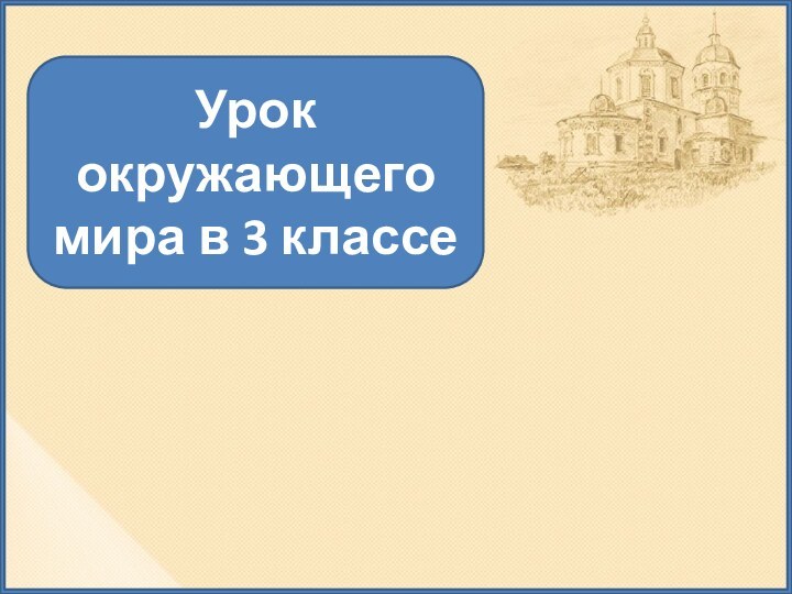 Урок окружающего мира в 3 классе