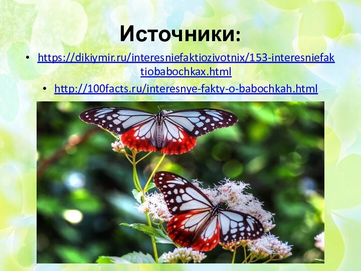 Источники:https://dikiymir.ru/interesniefaktiozivotnix/153-interesniefaktiobabochkax.htmlhttp://100facts.ru/interesnye-fakty-o-babochkah.html