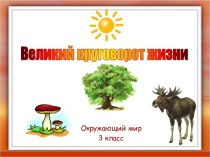 Презентация Великий круговорот