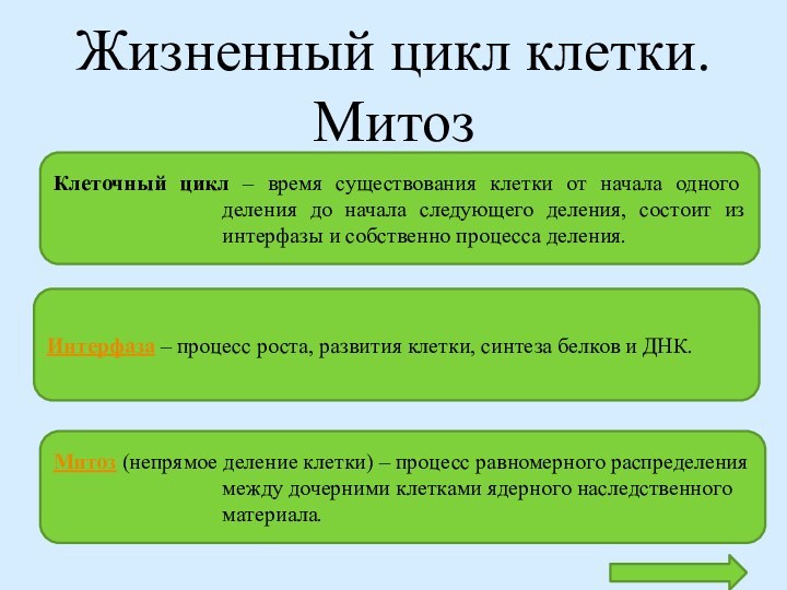 Жизненный цикл клетки. Митоз Клеточный цикл – время существования клетки от начала