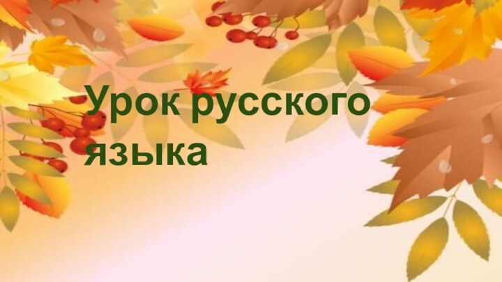 Урок русского языка