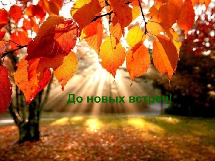 До новых встреч!