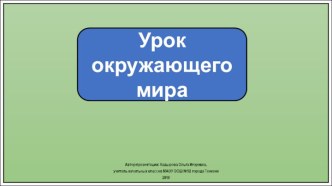 Презентация к уроку окружающего мира в 1 классе. Откуда в наш дом приходит электричество?