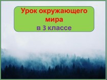 Презентация урока окружающего мира Свойства воды в газообразном состоянии, 3 класс